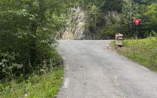 Teren pentru investiție turistică în Dâmbovicioara – Baranga | 4.500 mp | Front ~102 ml - Poză 14