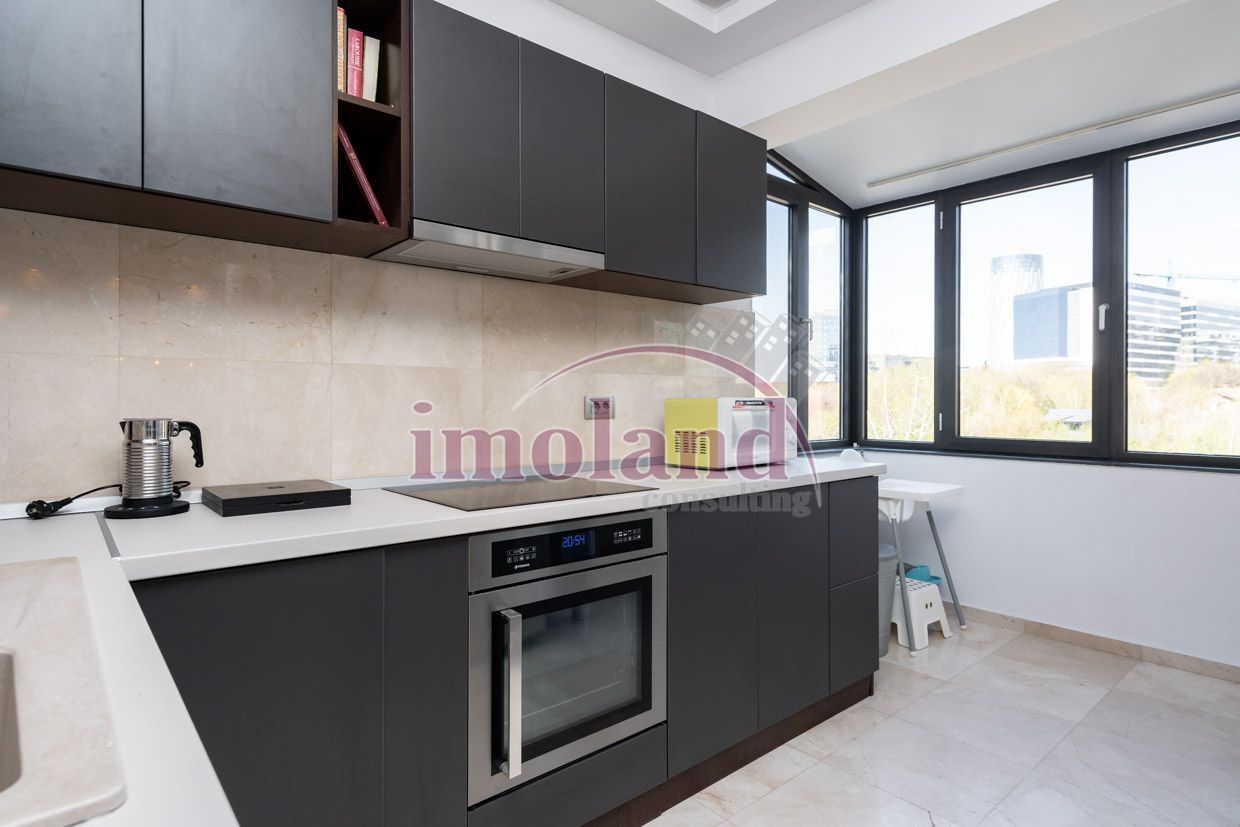 Inchiriere duplex cu terase - birou/rezidential - Lake view - Barbu Vacarescu - Poză 7