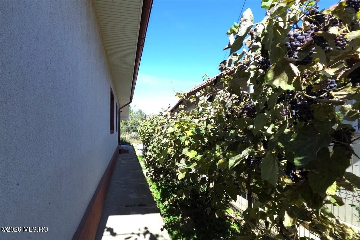 Castelu - Str. Florilor, casa din 2012, teren 737 mp si 106 mp utili - Poză 28