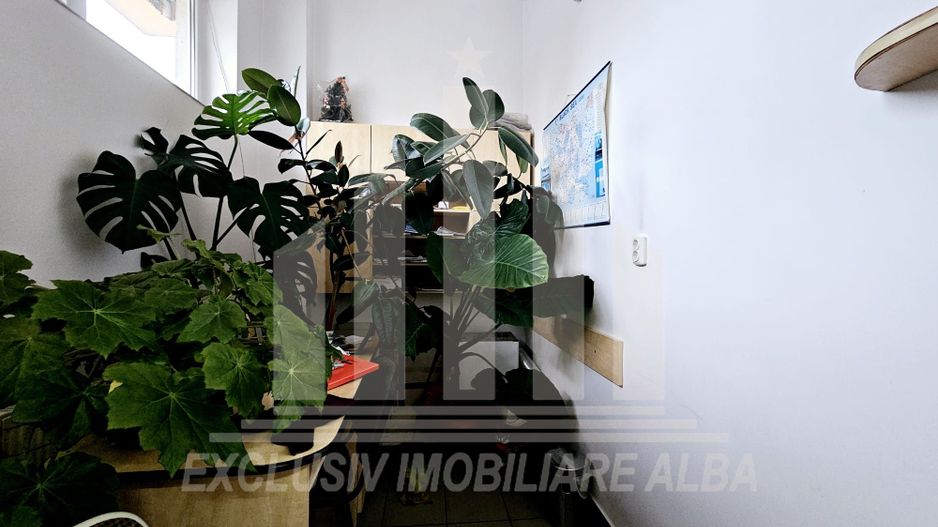 Spatiu comercial de inchiriat, Cetate - zona Stadion - Poză 5