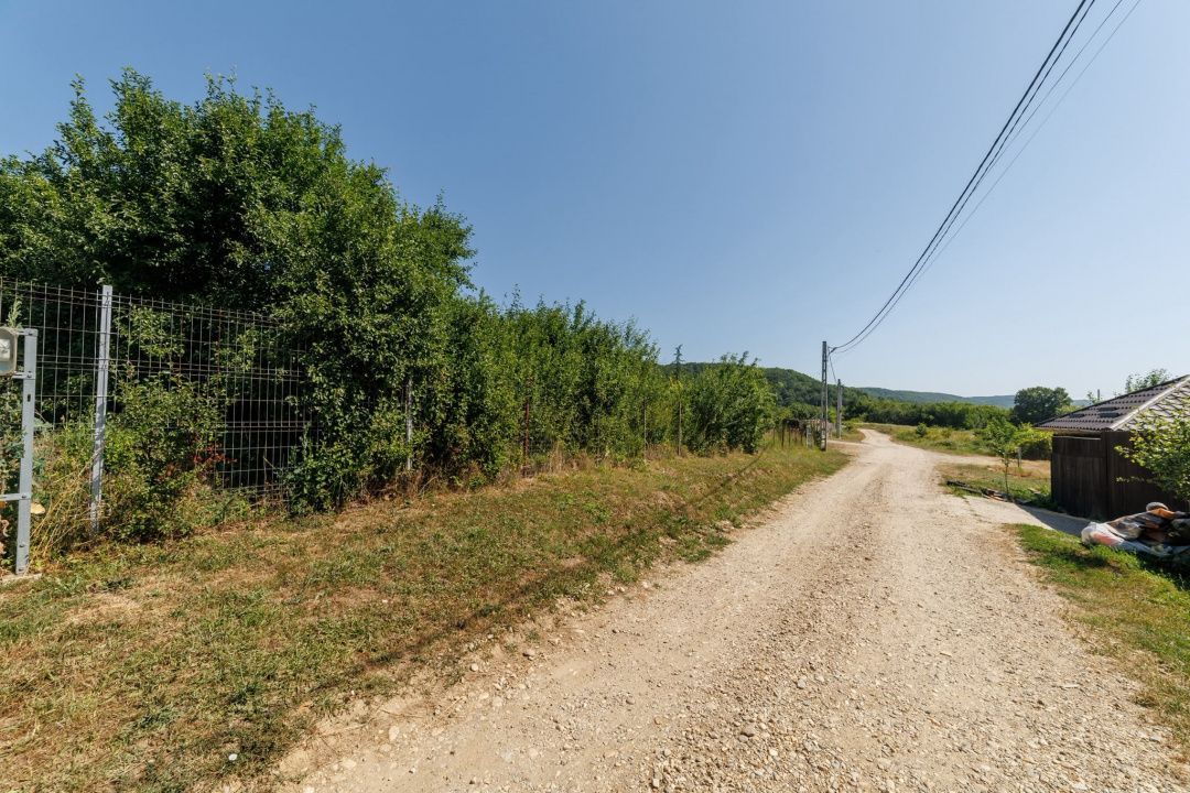 Teren intravilan Ștefănești Valea Mare Podgoria - Poză 2