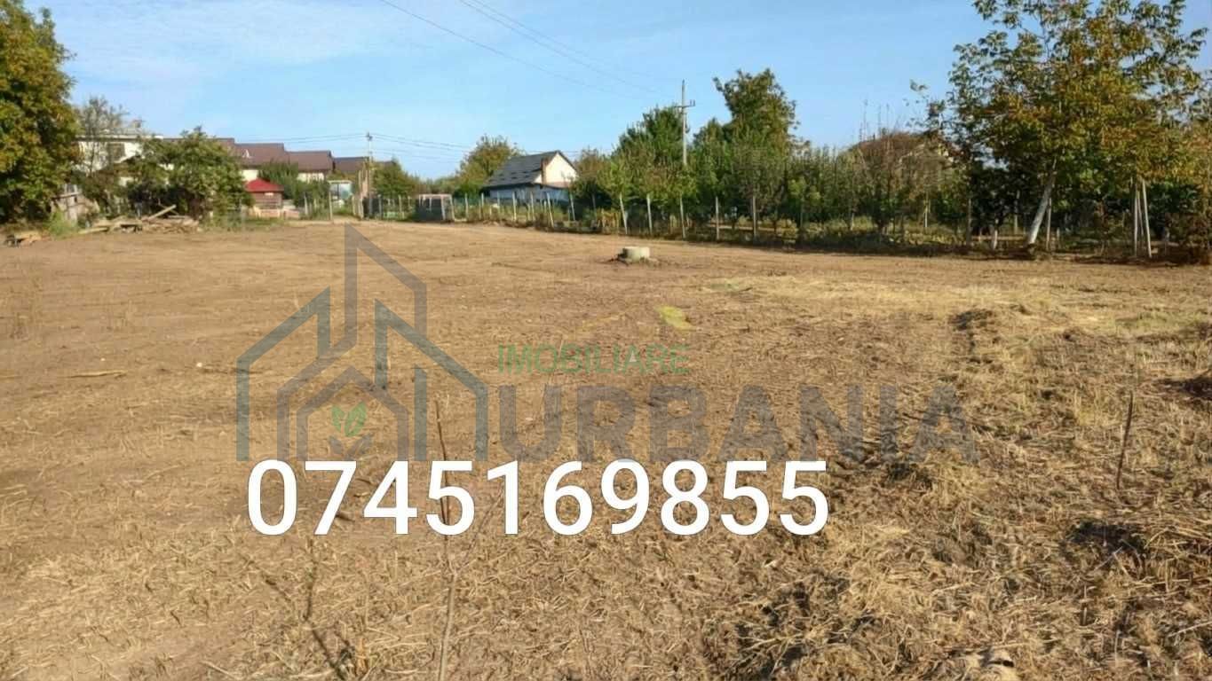 Teren intravilan 3600 mp Ciurbesti, Miroslava – ideal proiect imobiliar, schimb cu casa - Poză 2