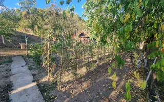 Casă renovata cu teren generos | Anexe | Gurasada | Hunedoara - Poză 35