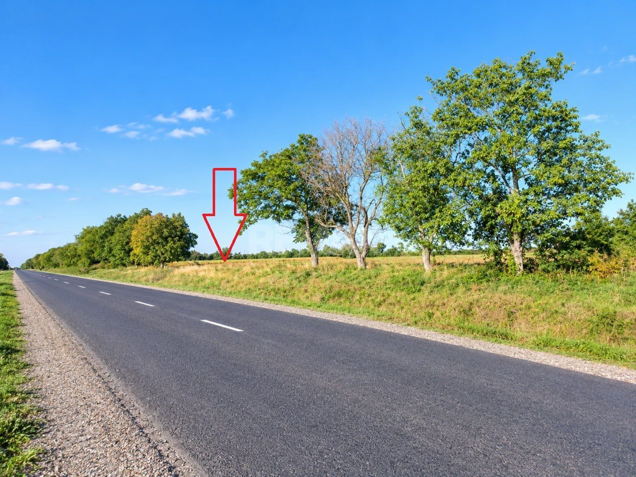 4,85 HA CU DESCHIDERE DE 300 M LA TRASEU | CRIULENI – SLOBOZIA-DUȘCA - Poză 10