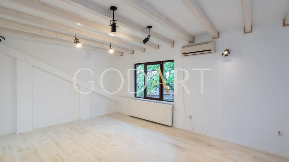 BIROURI | VILA | ULTRACENTRAL | PARCARE - Poză 3