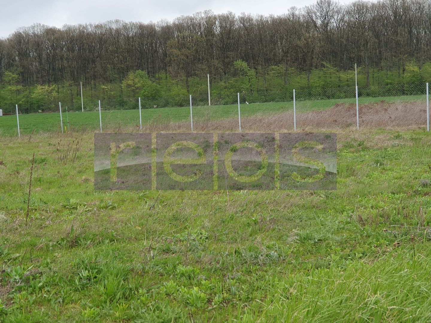 VANZARE TEREN 1500 MP| GHERMANESTI | PADUREA SNAGOV - Poză 4