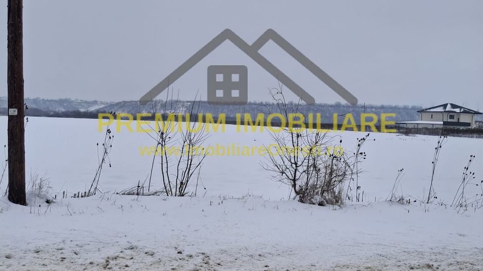 Teren de vânzare – Zona Andrășești – 16.000 mp - Poză 2