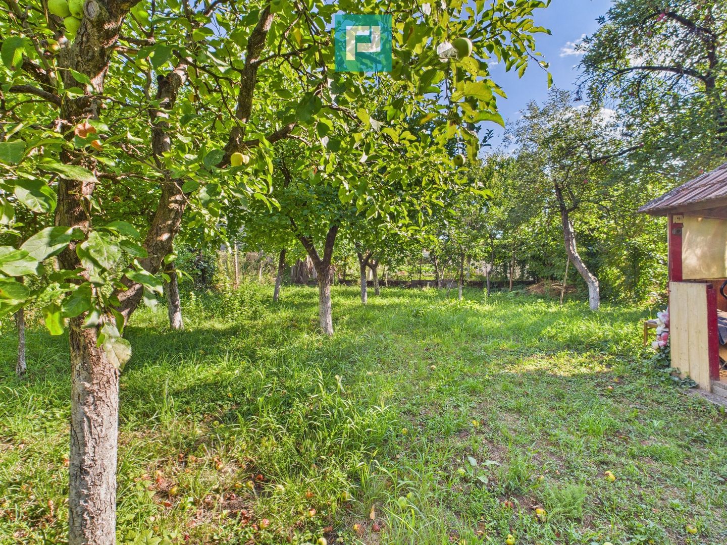 Casă cu 4 camere, curte și atelier mecanic - Sebeș - Poză 16