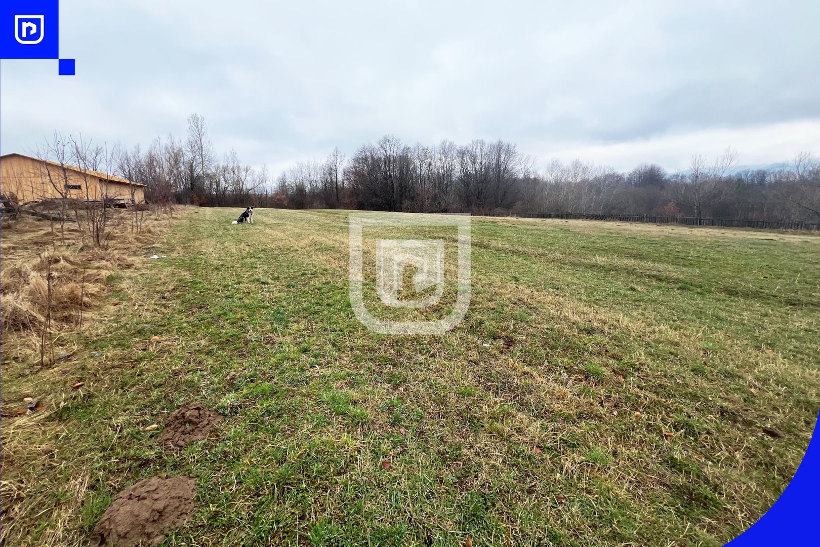 Casa traditionala la tara cu livada | Poieni-Solca - Poză 21