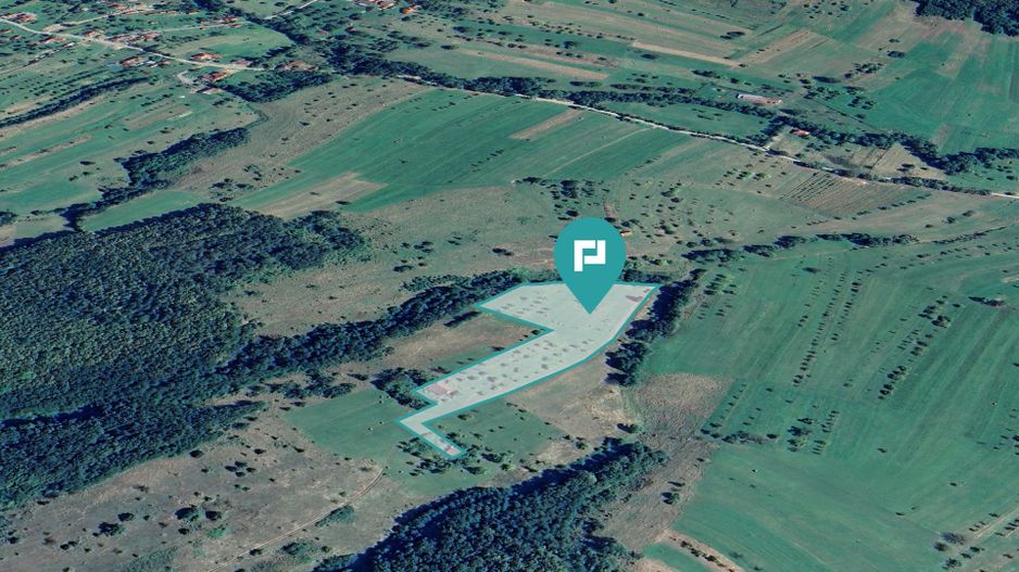 Teren de 92294 in Halmagiu - Poză 4