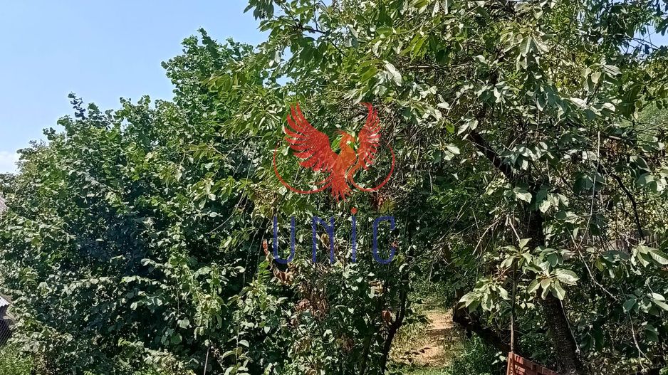 Teren 980 mp, 2 deschiderizona Drumul Muntenilor pret excelent - Poză 15