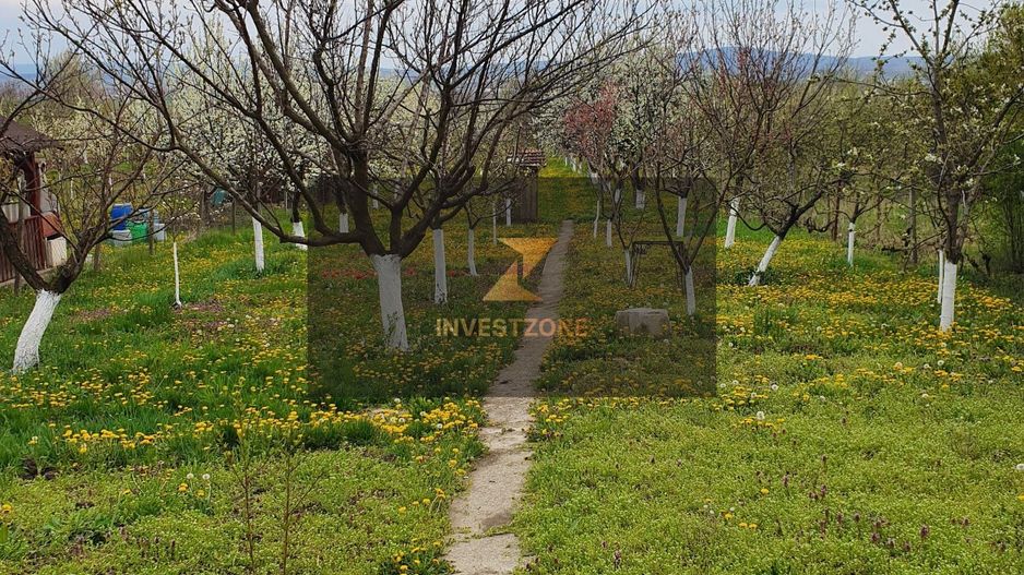 Teren Intravilan pe str Fagetului - Poză 3