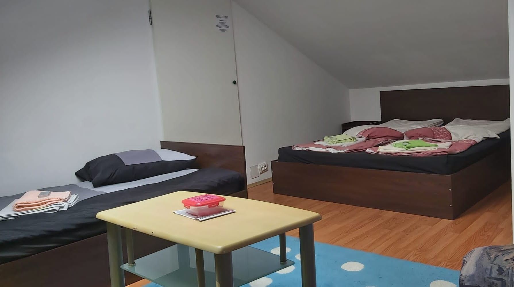 Apartament cu o cameră / Mansardă/ 45 mp/ confort lux/ utilată - Poză 1