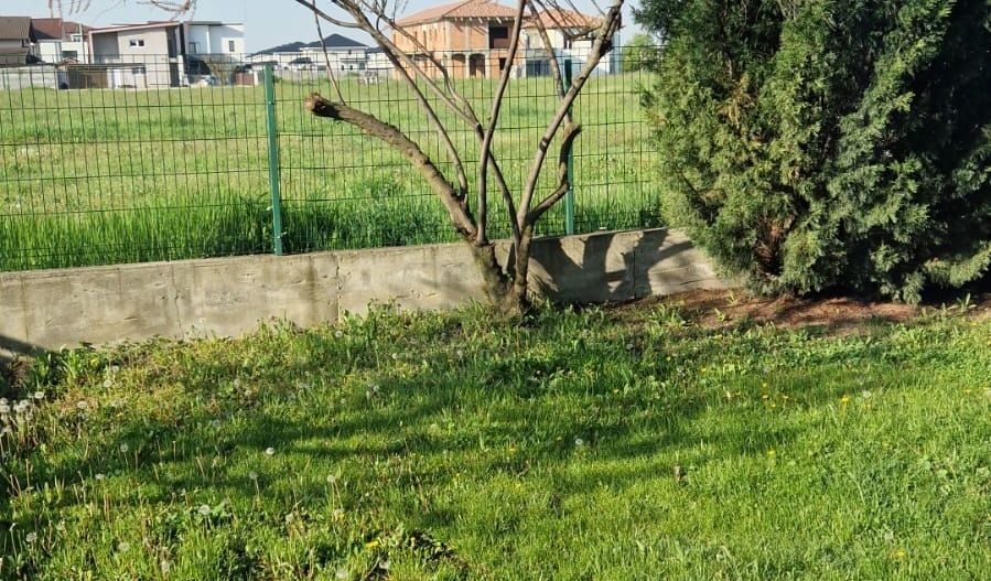 Casă de închiriat în Dumbravita – 3 dormitoare si garaj - Poză 12