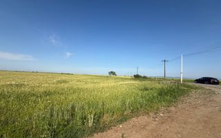 Teren 10 hectare pretabil pt panouri solare-Aricesti Rahtivani - Poză 4