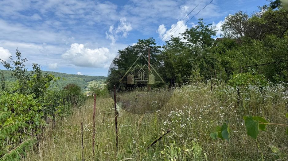 Teren Wewern, Medias - Poză 5