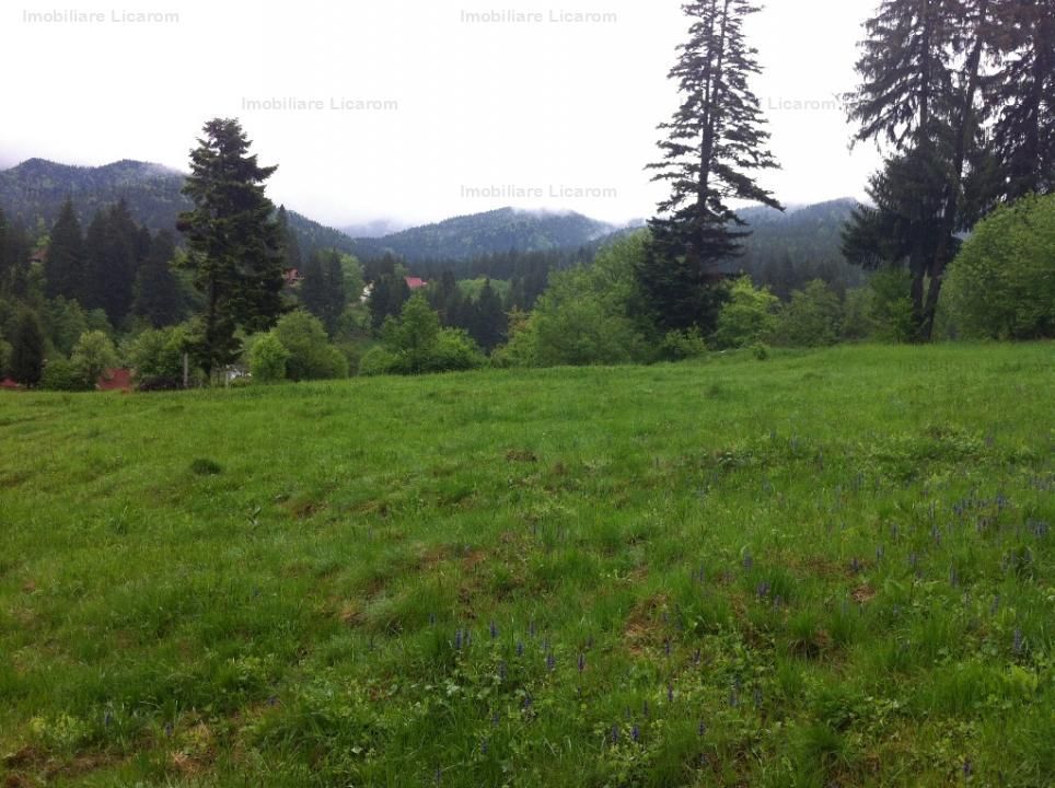 Teren intravilan Cotul Donului,pretabil Hotel/pensiune. - Poză 6