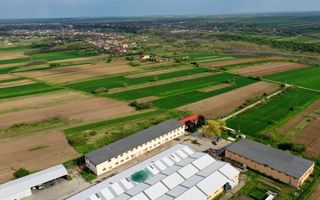 HALE INDUSTRIALE & PLATFORME BETONATE & TEREN INTRAVILAN 23500MP CRAIOVA - Poză 2