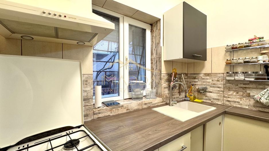 Apartament cu 2 camere in Vila *Parter* // Parcul Carol - Poză 16