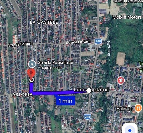 Teren intravilan 1000 mp, plat, între case, Lunca Cetățuii - Poză 3