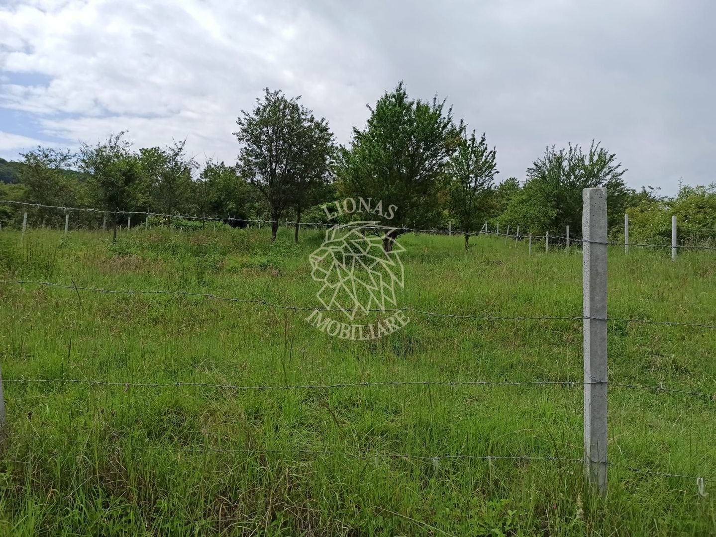 Teren 1000mp+cota drum-ideal cabana/investitie-panorama-Valea Rusului - Poză 2