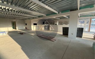 Hală de inchiriat, Medias - Poză 7