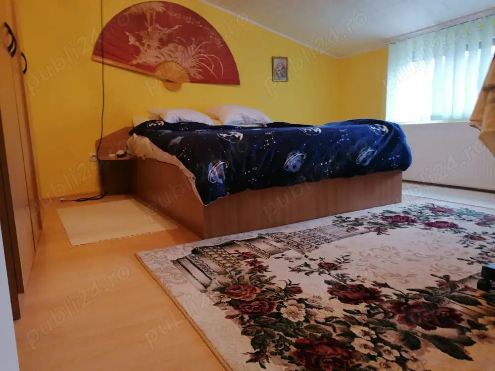 Apartament 3 camere Iosefin la curte - Poză 2