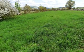 Teren intravilan 2515 mp cu utilitati- Zona Valea Castailor - Poză 1