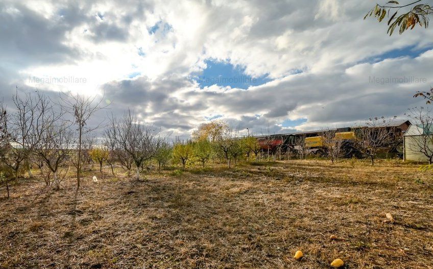 Vanzare ferma agricola Negru Voda - Constanta cu 240 hectare teren si utilaje - Poză 8