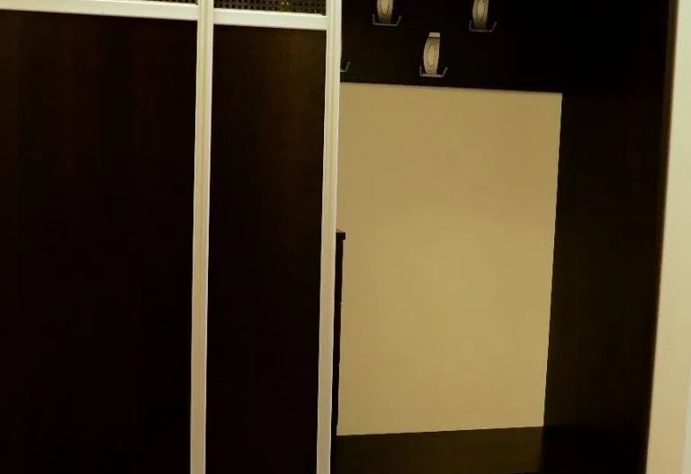 Inchiriere 3 Camere Unirii - Parcul Carol - Poză 10