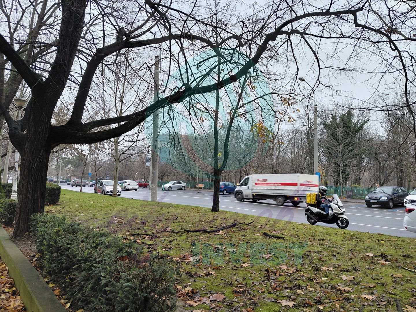 3 camere - Campia Libertatii | ParkLake & Parcul IOR vis-a-vis - Poză 9