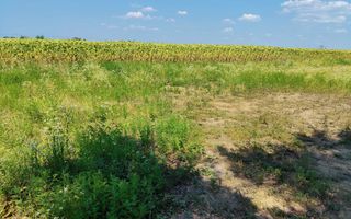 Teren intravilan de 1300 mp în sat Popricani, comuna Popricani, județul Iași - Poză 7