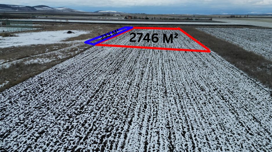 Teren extravilan Sfântu Gheorghe 2.979 m² - Poză 4