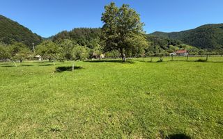 Teren Intravilan | 3050 Mp | Ieșire la Râu | Râul Sadului - Poză 2