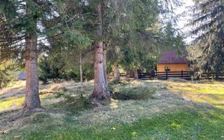 Teren Intravilan de 3300 mp de Vanzare in Marisel - Poză 3