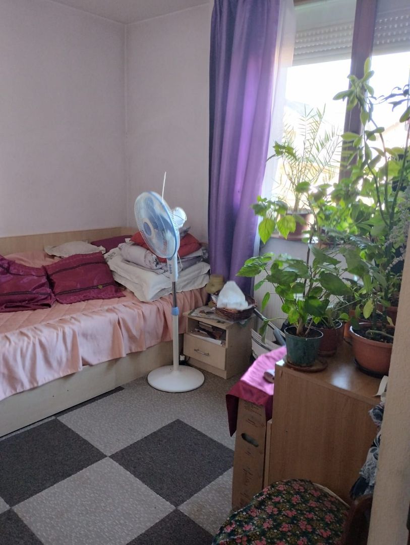 Vila ta de vis te așteaptă! - Poză 15