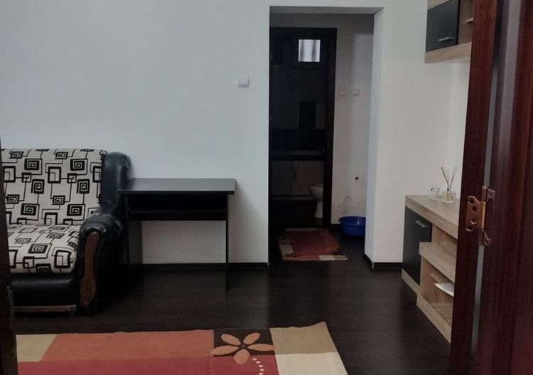 Apartament 2 camere George Enescu - parter - Poză 2