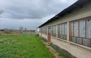 CASA | TEREN 2000 MP | CURTE GENEROASA | IDEAL PENTRU GRADINA SAU LIVADA