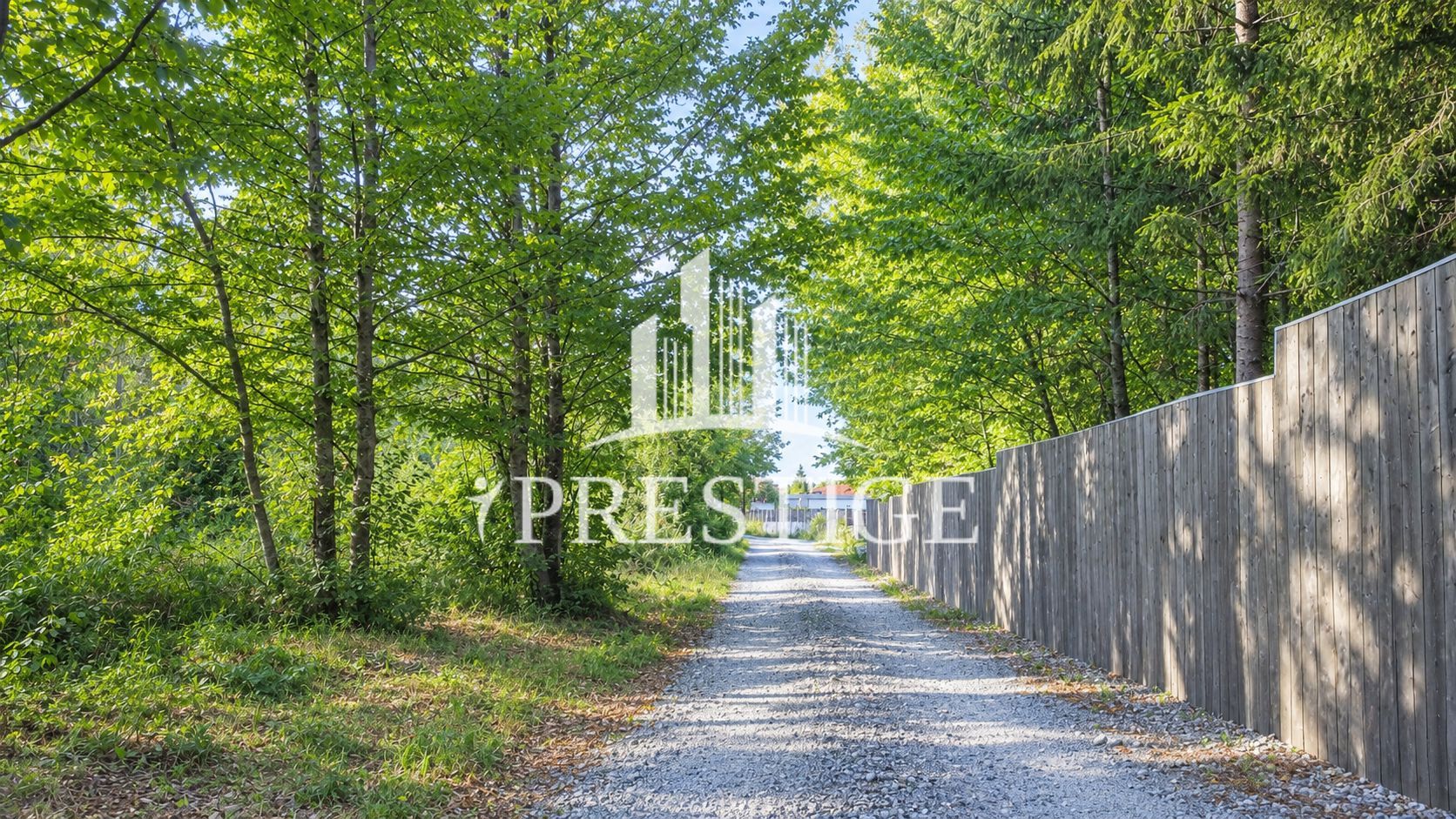 TEREN INTRAVILAN 744 MP | VALEA AVRIGULUI | IDEAL PENTRU CABANĂ - Poză 7