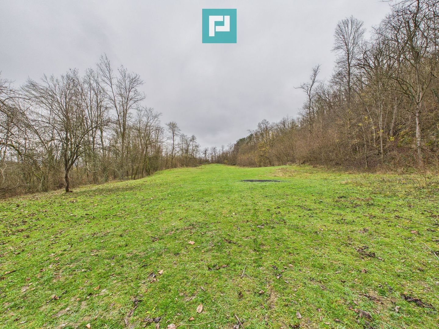 Casă cu teren de 24.679,73 mp, în Hălmagiu, Arad - Poză 17