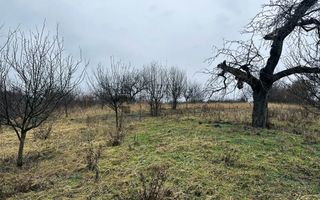 Teren intravilan 1765 mp cu panorama in Cartierul Podgoria - Poză 4