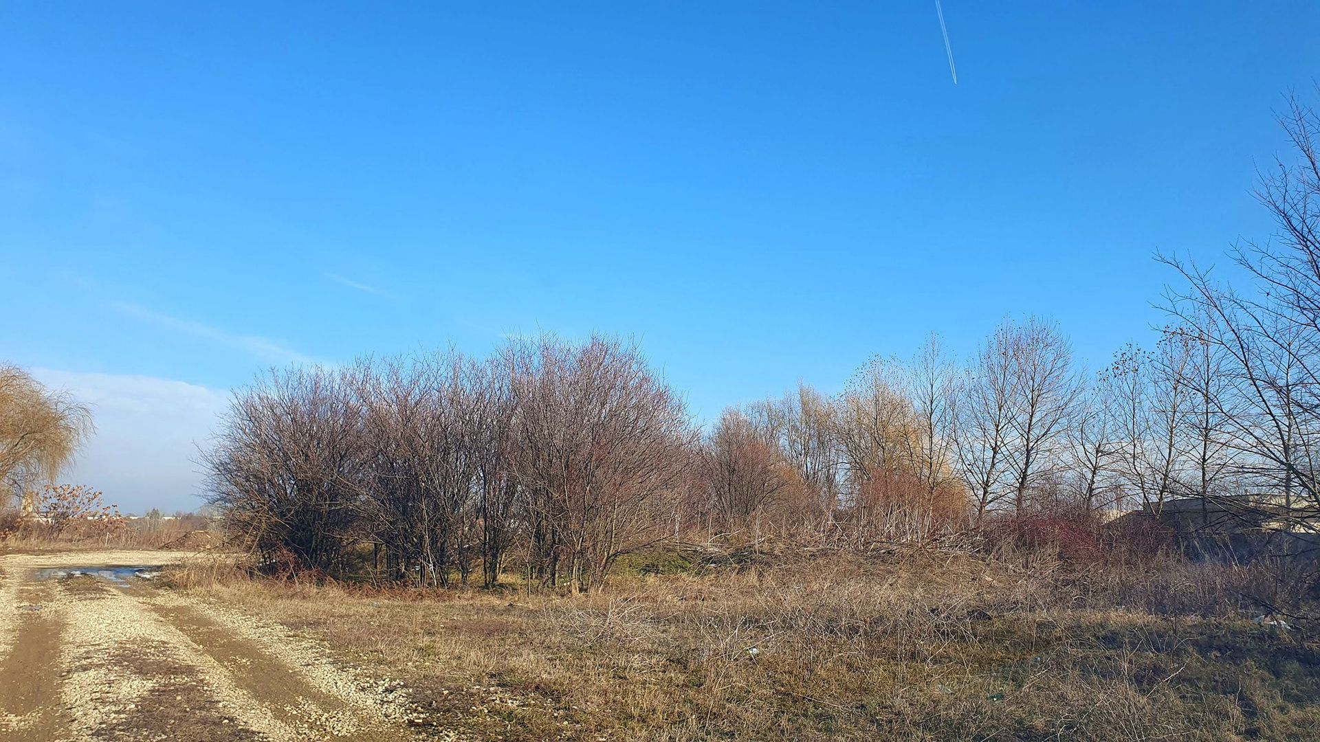 Teren pentru casă cu priveliște la lacul Buftea. - Poză 3