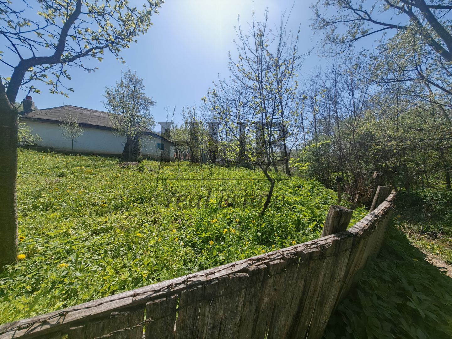 Casa batraneasca in Crihan/Magura | de vanzare - Poză 5