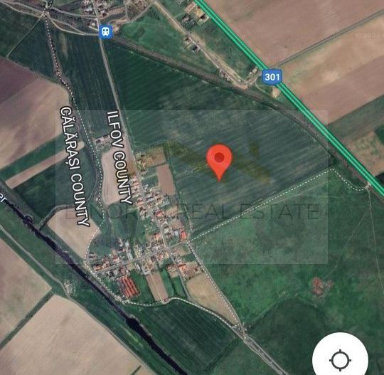 Teren intravilan de vânzare Cernica – Tânganu | 4 loturi x 954 mp | Investiție - Poză 3