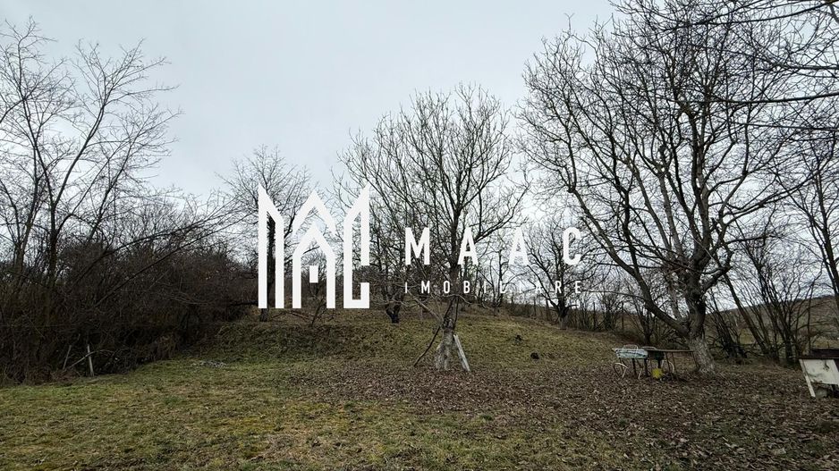 Teren 5000MP | Intravilan | Utilitati | Acces auto | SIBIU - Poză 1