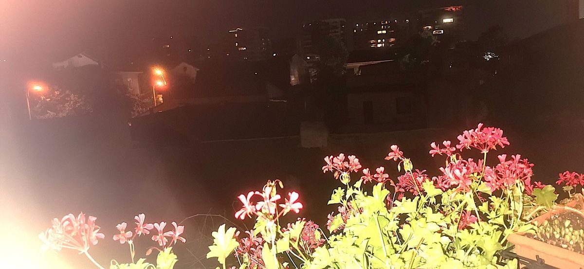 Apartament 3 camere - Central Plevnei (vizavi de Orhideea Gardens) - Poză 19