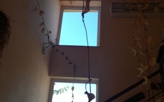 Spațiu Comercial - Tipografia Brastar - Poză 6