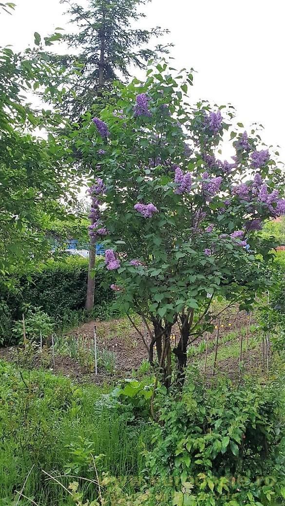 Apartament pretabil locuit sau birouri - Poză 11