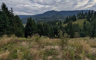 Parcele teren intravilan cu utilitati-panoramic-Colibita - Poză 4