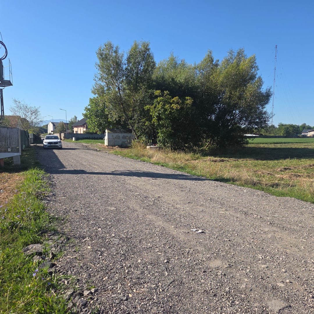 Teren Bod Colonie,strada Lalelelor - Poză 6